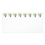 Amaryllis Green Princess Photo Card Template