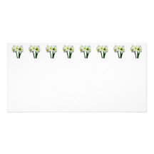 Amaryllis Green Princess Photo Card Template