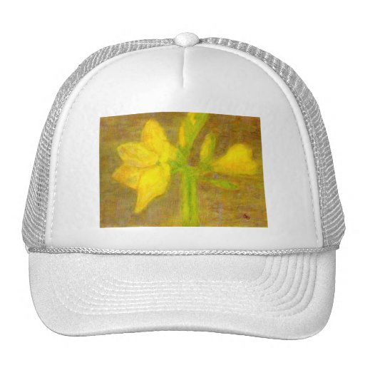 Amaryllis, Hat