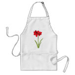 Amaryllis in red aprons