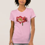 Amaryllis Minerva Ladies Tee Shirts