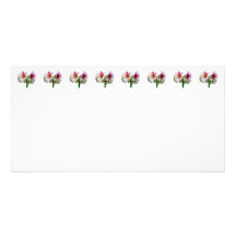 Amaryllis Novella Personalized Photo Card