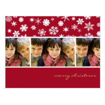 Amaryllis Snowflakes :: Christmas Photo Postcard