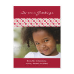 Amaryllis Stars :: Christmas Photo Postcard