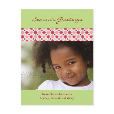Amaryllis Stars :: Christmas Photo Postcard by CSKidsOccasions