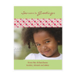Amaryllis Stars :: Christmas Photo Postcard