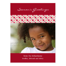 Amaryllis Stars :: Christmas Photo Postcard