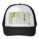 Amaryllis White Flower Close Up Hat