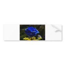 Amazing And Unique Blue Rose