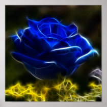 Amazing And Unique Blue Rose