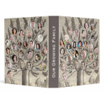 Amazing Antique Family Tree - Add up to 48 Photos