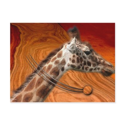 AMAZING CREATURES by arteologist23