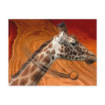 AMAZING CREATURES postcards