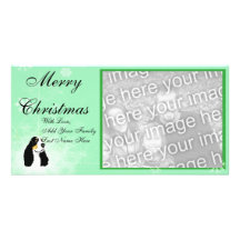 Amazing English Cocker Spaniel Photo Card Template