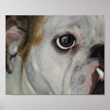 Amazing Grace Bulldog Cross Print