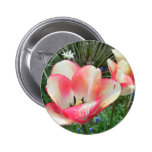 "Amazing Tulips"  CricketDiane Art & Photography Pinback Button