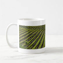 Amazing view of vineyard coffee mugs