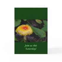 Amazing Yellow Mushroom