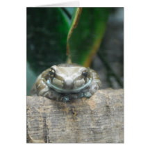 Amazon Milk Frog Greeting Card