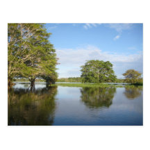 AMAZON RAINFOREST. POSTCARDS