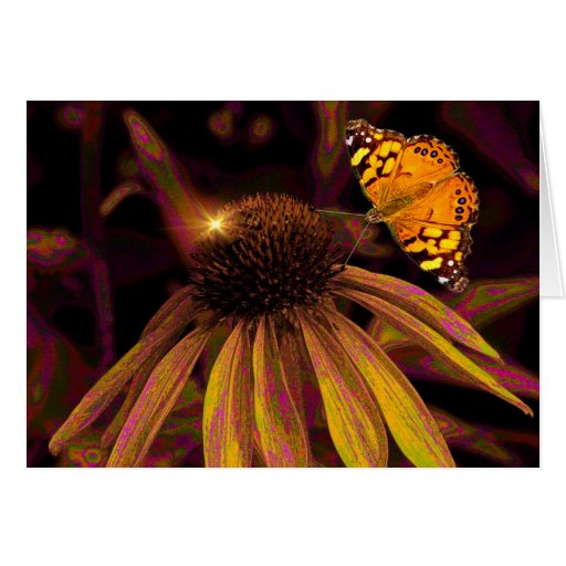 Amber  cards