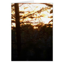 Amber Evening Notecard
