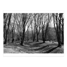 Ambresbury Banks Iron Age fortification Postcard