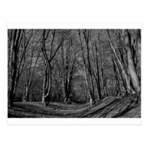 Ambresbury Banks Iron Age fortification Postcard