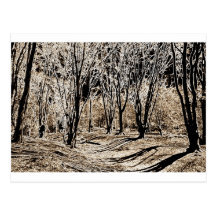 Ambresbury Banks Postcards