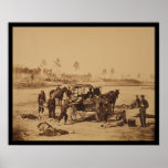 Ambulance Drill near Brandy Station, VA 1864 Print