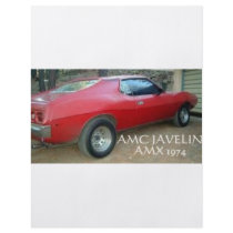 AMC JAVELIN AMX 1974 FLYERS