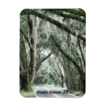 Amelia Island, FL. magnet