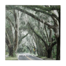 AMELIA ISLAND FL TILE