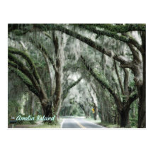 amelia island postcard