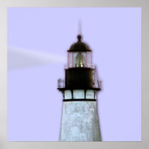 Amelia Island