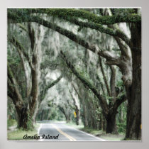 amelia island print