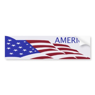 AMERICA Bumper Sticker by manewind