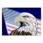 America Forgot 9-11
