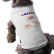 America Freedom