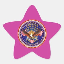 America Is Not Forgotten Star Only See Notes Stickers