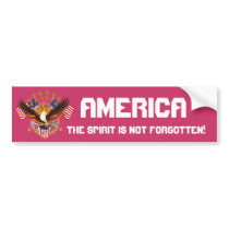 America Spirit Is Not Forgotten Please See Notes