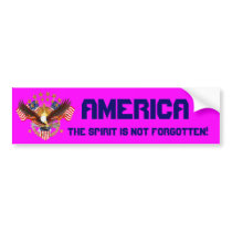 America Spirit Is Not Forgotten Please See Notes