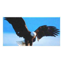 Américain chauve Eagle Carte Avec Photo