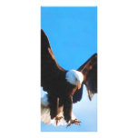 Américain chauve Eagle Carte Double