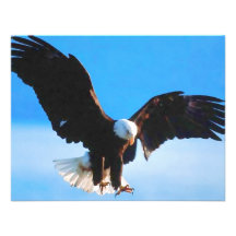 Américain chauve Eagle Cartons D'invitation