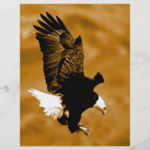 Américain chauve Eagle Prospectus Personnalisés
