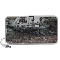 American Alligator Doodle Speaker