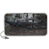 American Alligator Doodle Speaker