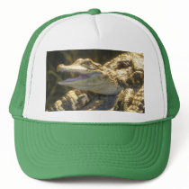 American Alligator Mouth Open Mesh Hats