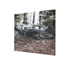American Alligator Wrapped Canvas Print